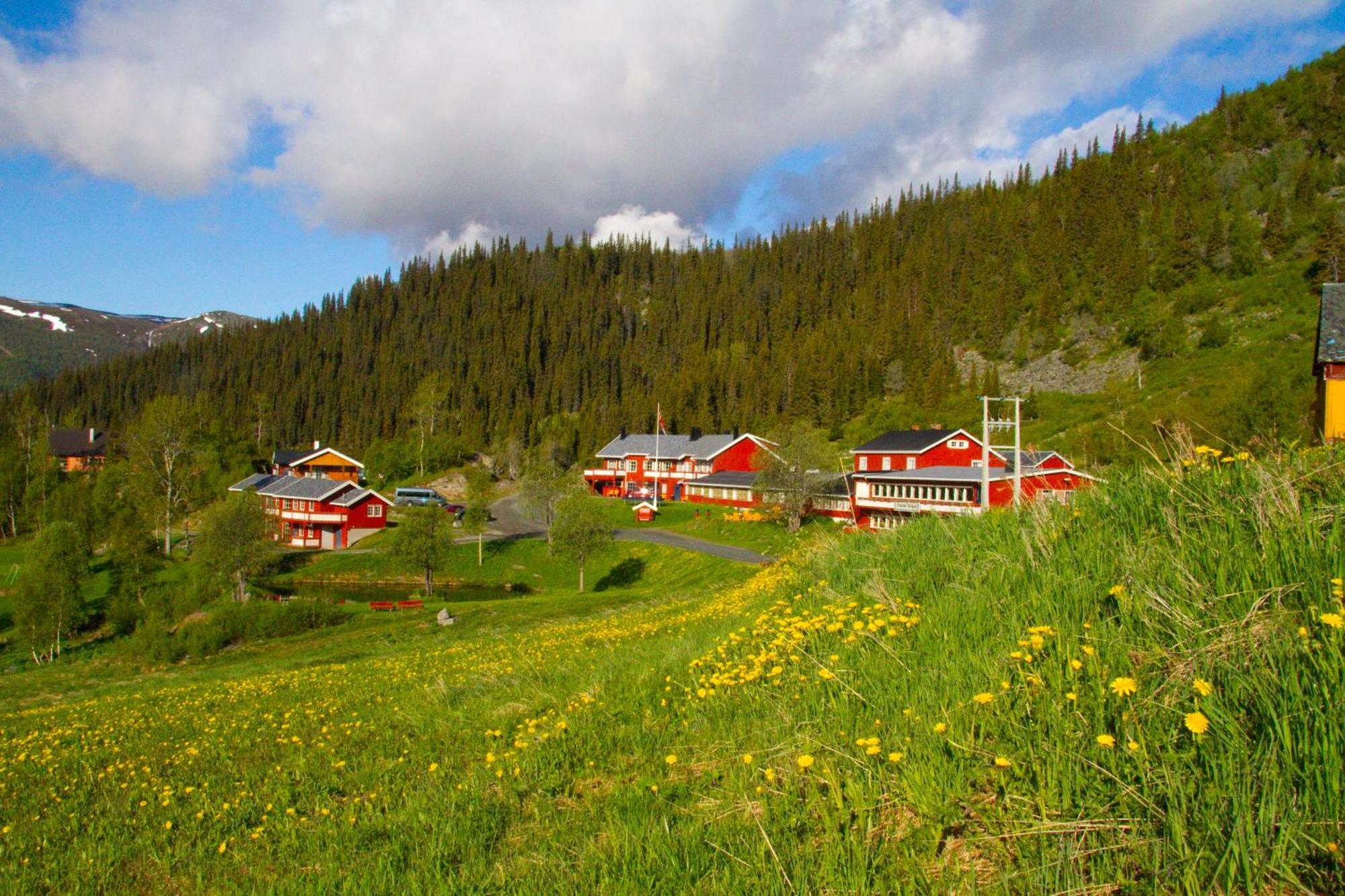 Gronolen Fjellgard Hotel Beitostolen Exterior foto
